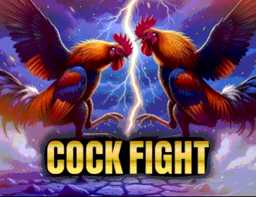 CockFight-DIar1XIg